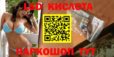 шишки Лесосибирск