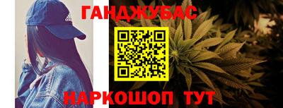 шишки Лесосибирск