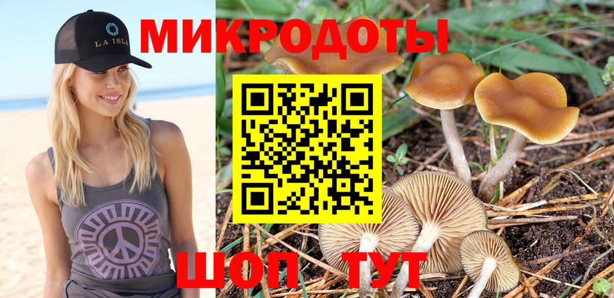 Псилоцибиновые грибы мицелий Элиста